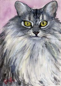 kitty-mini-animal-portrait