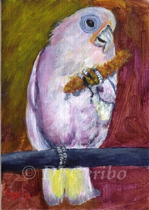 cockatoo-snacking-painting-by-artist-dj-geribo