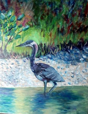 Great Blue Heron in oils by DJ Geribo - in progress