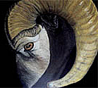 dramatic ram painting by artist dj geribo