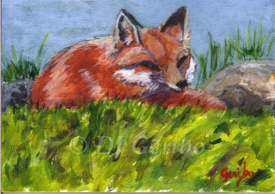 fox-nap-painting-by-artist-dj-geribo.jpg