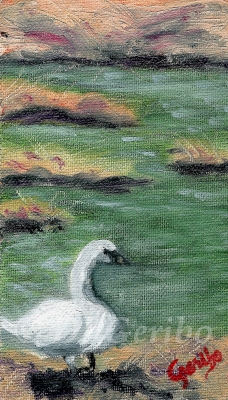 gazing-swan-by-artist-dj-geribo.jpg