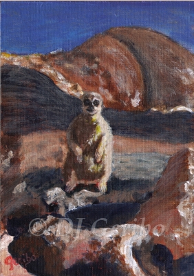 meerkat-alert-painting-by-artist-dj-geribo.jpg