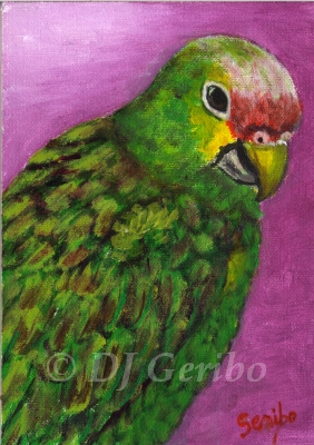 pretty-parrot-painting-by-artist-dj-geribo.jpg
