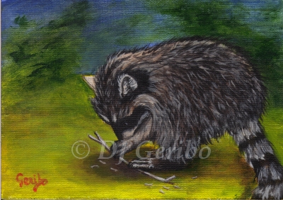 raccoon-grasping-painting-by-artist-dj-geribo.jpg